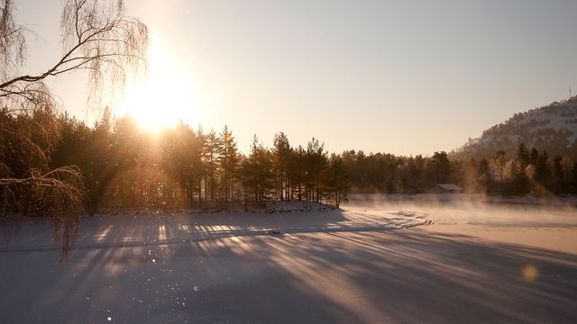 Satser i Singapore, Stavanger – og Treungen