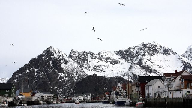 Ber oljeindustrien slutte å mase  om Lofoten 