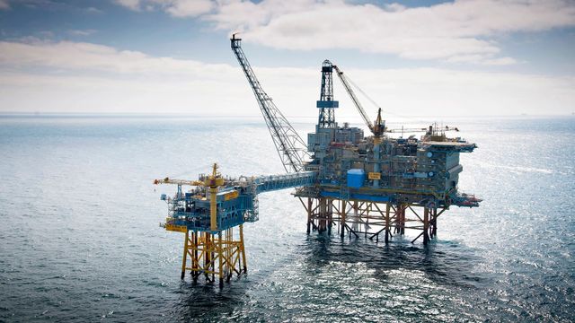 Frykt for kjemisk østrogen i Nordsjøen 