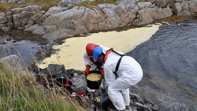 Øver på oljevern med 75 kubikkmeter popkorn