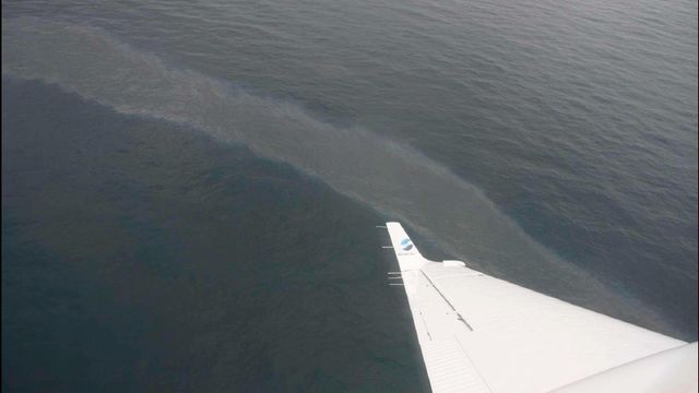 Hvor kommer denne oljen fra?