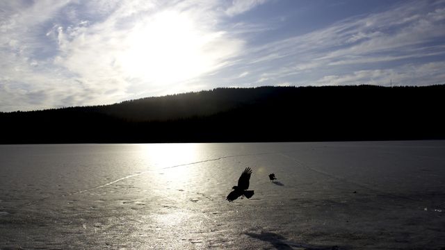 – Oslo har dårlig vannkapasitet
