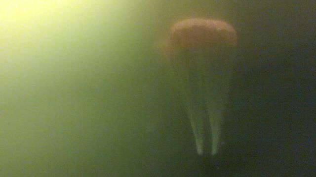 Norske studenter utviklet undervannsfallskjerm 