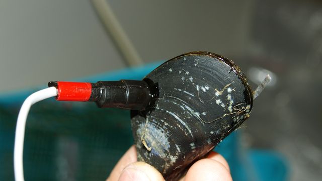 10 innovative år – 5 viktige innovasjoner  