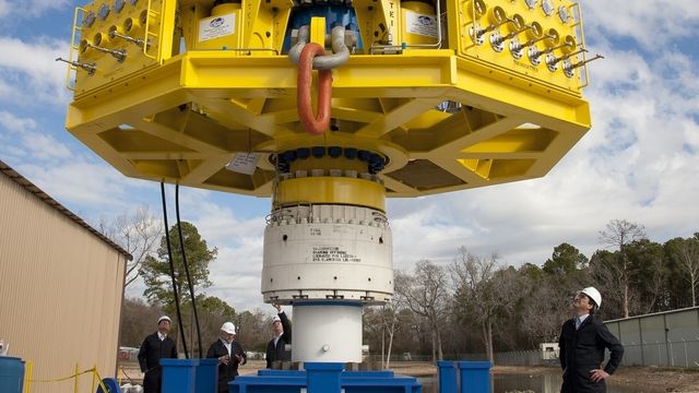 Kan sluke 60 000 fat olje per dag