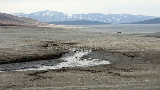 Frykter tapt produksjon