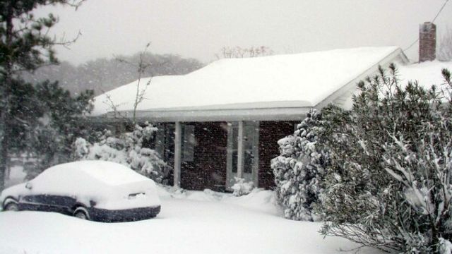 Større frostskader i Norge