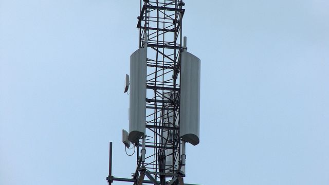 Kampen om indrefileten