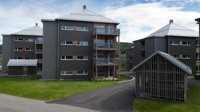 Forsvarsbygg-pris til Idrettsparken