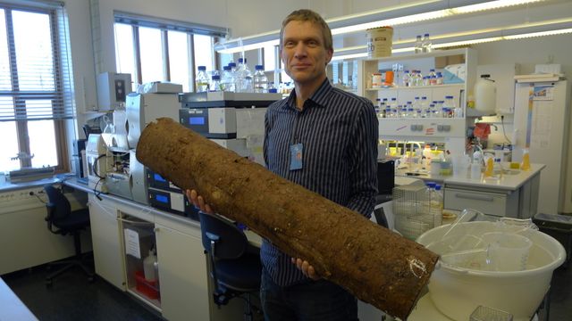 Kan tjene millioner på UMB-oppdagelse