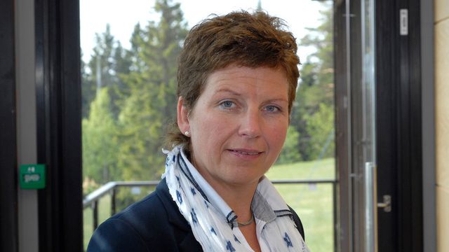 Fornybarforhandlingene ferdig før sommeren