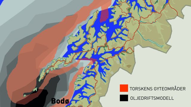 Er dette en miljøseier?