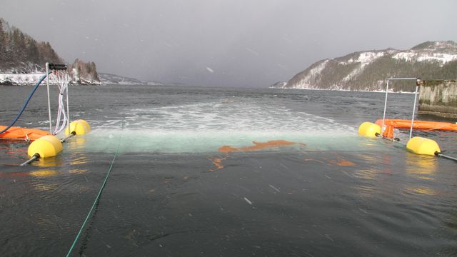 Bekjemper oljesøl med luft