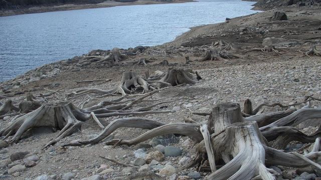 Svakere fra Statkraft