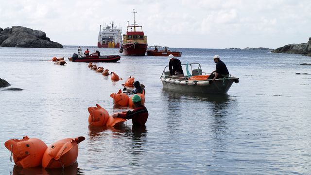 Oslofjord-kablene må utsettes