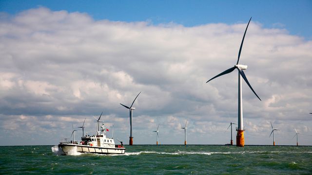 Verdens største havvindpark