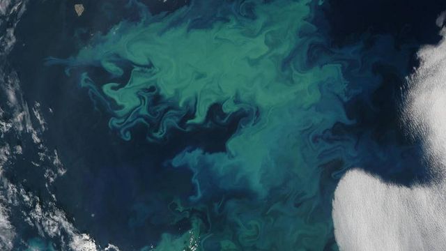 Samarbeid om navigasjon i nord