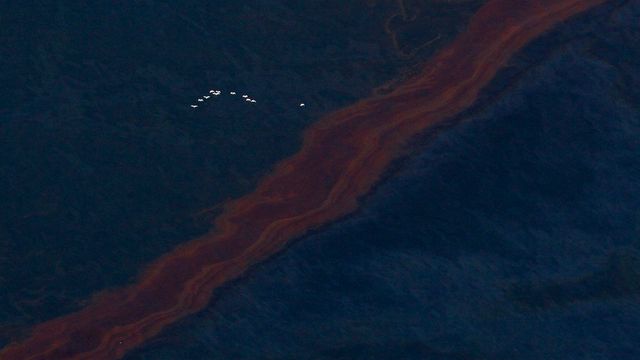 Vekst i britiske oljeutslipp