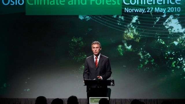 25 milliarder til bevaring av regnskog