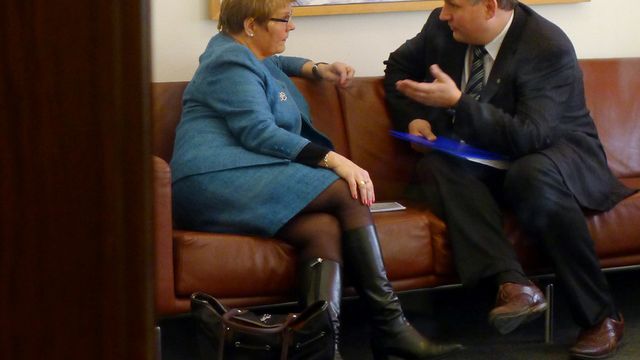 Felles elmarked: – Naturlig at det tar lang tid