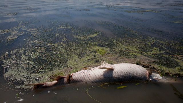 BPs kriseanslag er skyhøyt