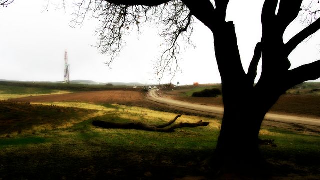 StatoilHydro byr på olje