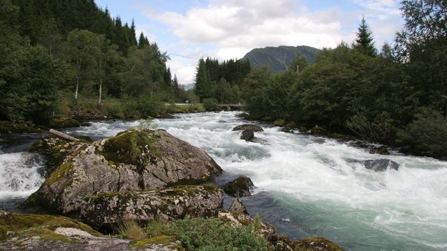 Strides om hvem som skal betale for nettet