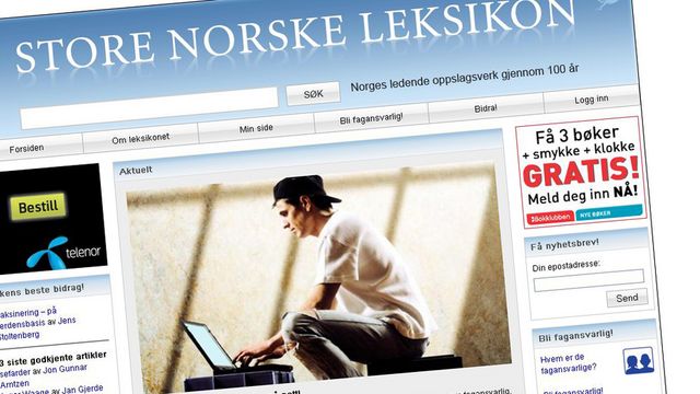 Store Norske entrer internett