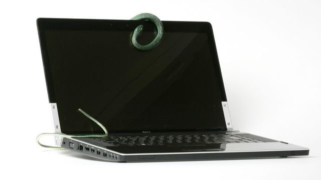 Dataorm rammet politiet