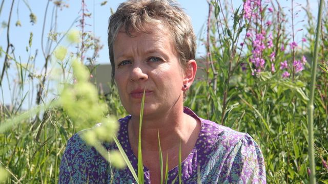 Kritisk til grønne sertifikater