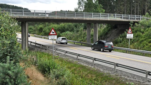 Kjempekontrakt til Mesta på E 6