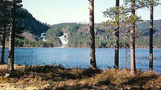 Fikk ti tonn over seg