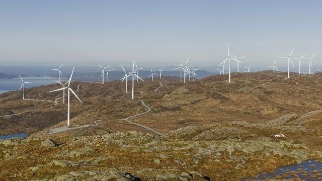 De konkurrerer om vindpotten