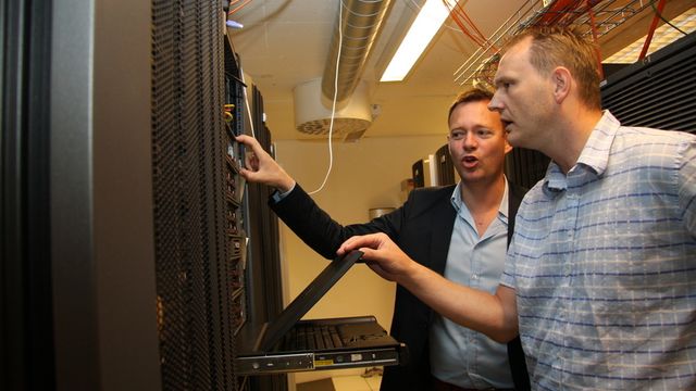 Sjefer gir blaffen i  grønn IT