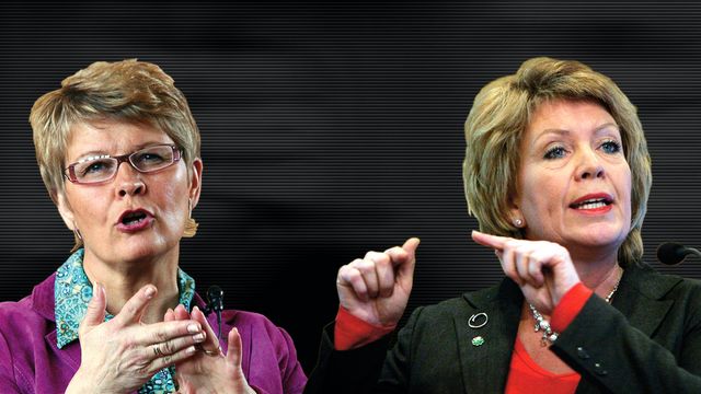 Diskuterer grønt marked