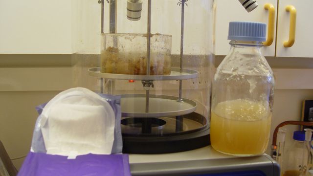 Bioetanol og bedre bleier fra sopp