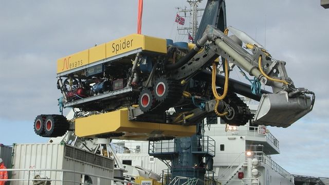 Reddet av utenlandsk arbeidskraft