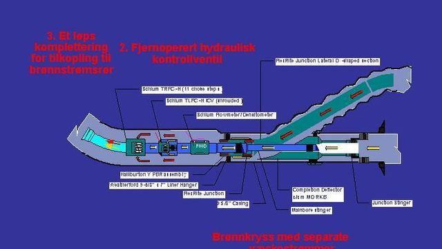 Fikk pris for Troll-arbeid