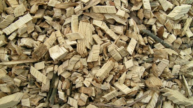 Eidsiva finansierer professor i bioenergi