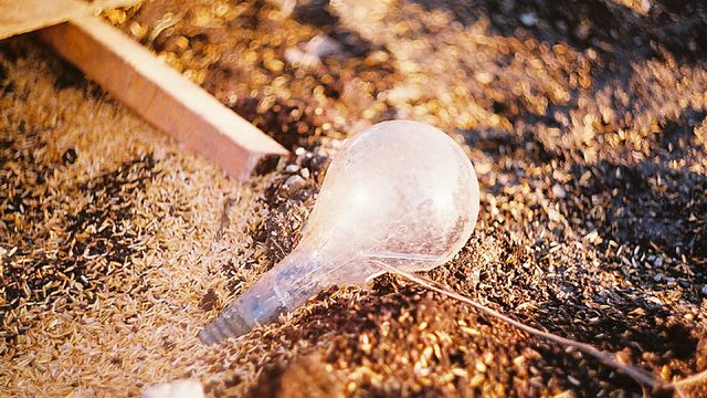 Resirkulerer lyspæreforslag