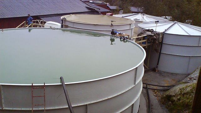 Tester renseutstyret