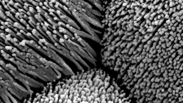 Lovende nanofibre av titanoksid