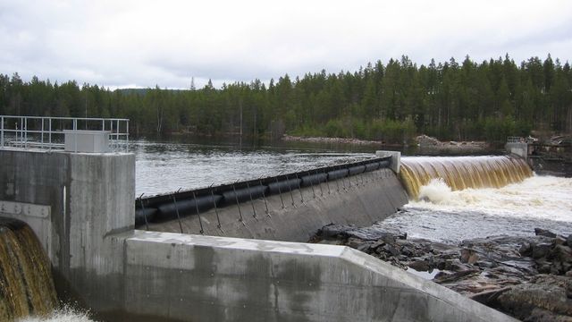 Gummiputer holder på vannet