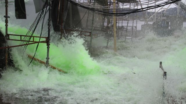 «Forskalingen ga fra seg et langt, pinefullt skrik»