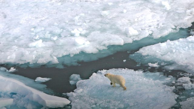 Vil ha forbud mot tungolje i Arktis - kan ramme 6000 fartøy