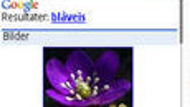 Google overlegen også i mobilsøk