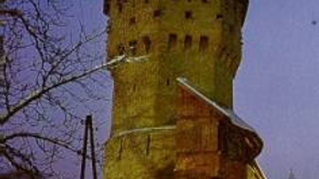 Transsylvanske kyberterrorister drev digital utpressing