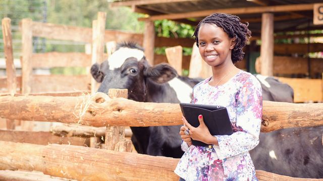 IBM Watson skal få fart på Afrika