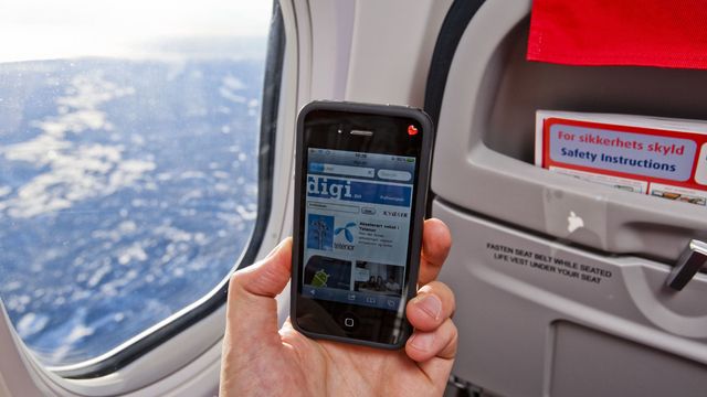 Slappere regler for dingser på fly?