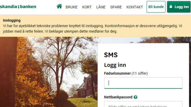 Skandiabanken slått ut i 8 timer